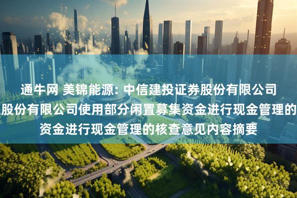 通牛网 美锦能源: 中信建投证券股份有限公司关于山西美锦能源股份有限公司使用部分闲置募集资金进行现金管理的核查意见内容摘要